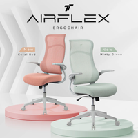 Airflex v1 Ergochair